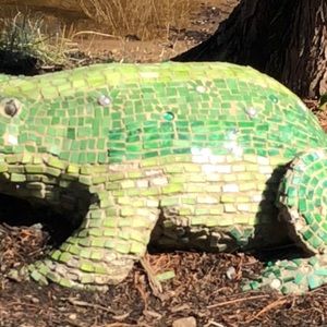 Meet your Posher, Ajmal